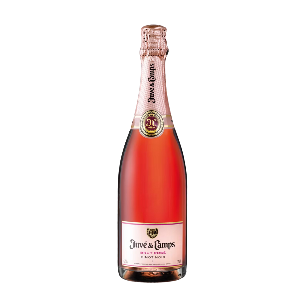 JUVE & CAMPS PINOT NOIR ROSADO 750 ML