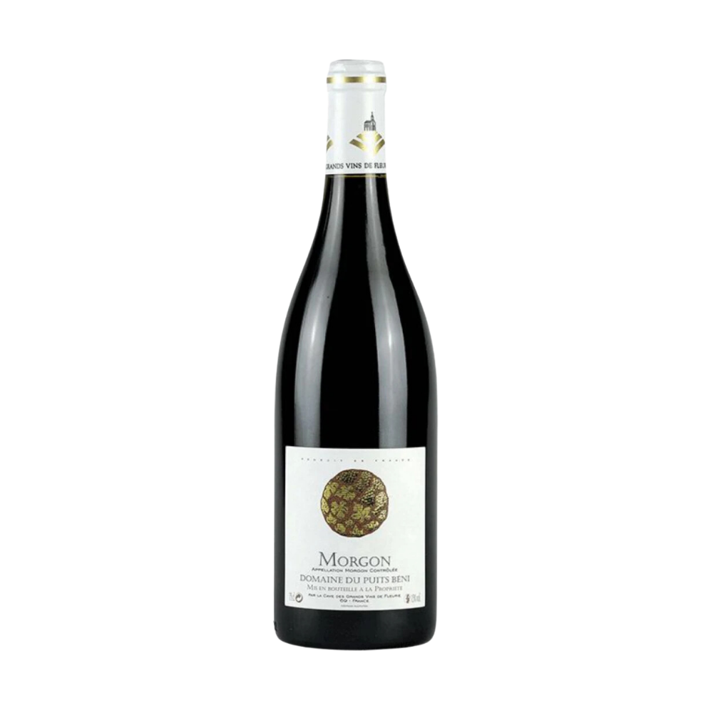 MORGON DOMAINE DU PUITS BENI 2023 750 ML (13.5%)
