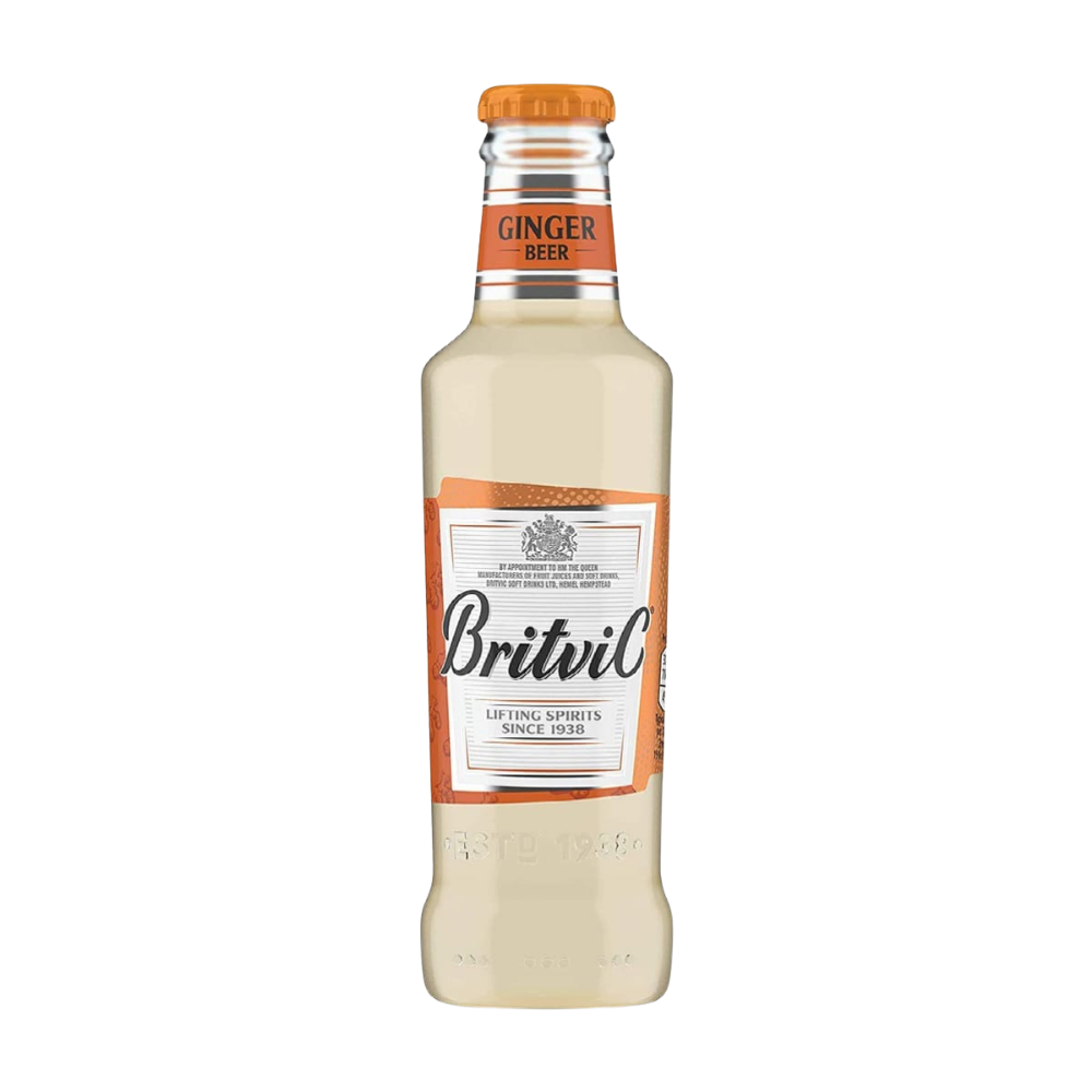 BRITVIC GINGER BEER NRB 200 ML