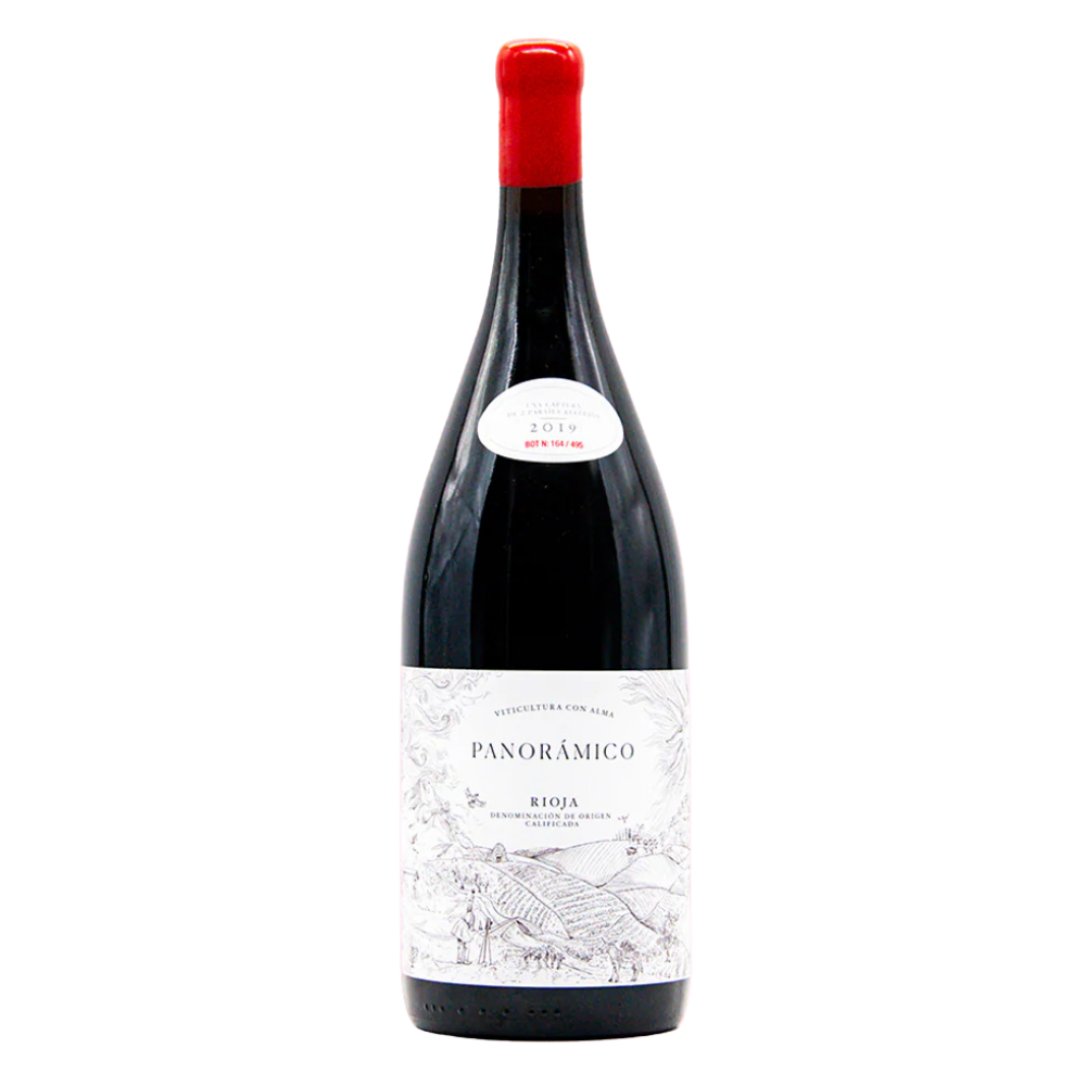 RIOJA TINTO PANORAMICO 2019 750 ML